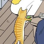 귀엽지않냐?