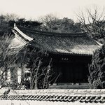 [댓글부탁해] <b>옛날</b> 사진 느낌 나???