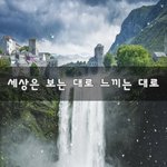 [니들꼭봐라] 세상은 보는 대로 느끼는 대로~