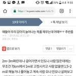 나 울집 댕댕 <b>민폐</b> 안끼치고  있는걸까 추반 부탁해