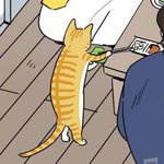 니네 이상형은 뭐임