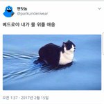 <b>펫샵</b> 말티즈 사건 마음이 너무 아픈게