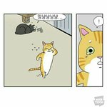 [댓글부탁해] 야 너네 치실꼭 <b>하셈</b>