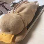 인형<b>필통</b> 인형으로쓸까..