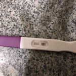 [19] <b>테스트기</b>좀 봐줄수있는사람 ㅜ
