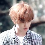 [EXO] <b>앙고라</b> 토끼같음ㅡㅡ