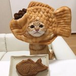 [댓글부탁해] 다들 힘든시기 한번쯤있지않냐