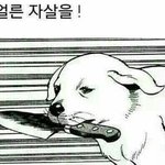 <b>쌍테</b> 계속 하고다녔더니