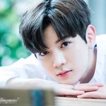 예쁜 게 <b>특기</b>인 미인 男돌