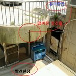 대학생청부살인 국가 은폐주범이 여당대표로 교육부장관