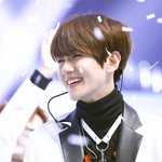 눈이 쳐<b>저서</b> 다행인 남돌