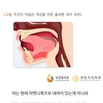 돌출입인 애들 들어와봐