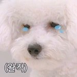 [EXO] 으아아악나 왜 <b>바깥</b>?ㅜㅜㅠ