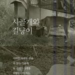 묶여서, 길에서 생활하고 있는 <b>시</b>골개와 길냥<b>이</b>를 위해
