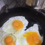 와 오늘도 <b>쌍란</b> 3개나 나옴ㅋㅋㅋㅋㅋㅋㅋㅋㅋㅋㅋㅋ