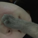 야 <b>이자식</b> 싸가지없는거봐