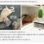 흔한 회사의 구인<b>구직</b>