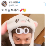 [방탄소년단] J이홉토끼
