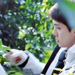 [EXO] 세훈이 이 사진 인히스<b>프리</b> 광고같아