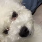 [댓글부탁해] <b>피부</b> 추반해줘 ㅠㅡㅠ