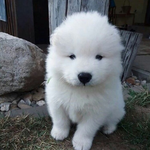 <b>루비</b>레이저 해본사람?