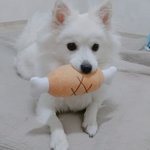 [댓글부탁해] 너네 콤플렉스같은거 있어?