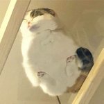 나 미국가는데 영어이름 <b>지어</b>주라 !