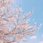 [댓글부탁해] 할거없음 <b>새</b>학기 첫날썰 풀고가줘ㅠㅠ