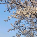 <올해 <b>새학년</b> 목표!>