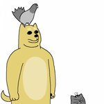 [드루와] 배그에서 성희롱하다가 친추거는건 뭔심리냐?