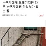 [ㅈㄱㄴ] 정시 <b>경희대</b> 이과면 몇등급 떠야 됑,,?