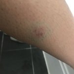 [꼭댓글부탁] 외할머니의 머리체를 잡아댕긴 폐륜아(제발봐주세요ㅜㅜ)