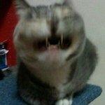 [댓글부탁해] 나? 나 이제 집 들어왔어