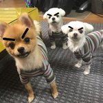 [댓글부탁해] 올해 중3인데 지금 <b>봄</b>방학때