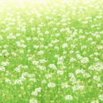 [드루와] 니네 하리보 광고 아냐