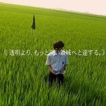 릴리 <b>슈슈</b> 아는사람...?