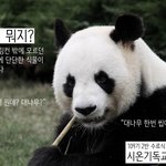 호주에서 온 봄소식