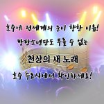 호주에서  날아온   소식