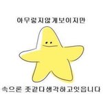 [조언부탁해] 급해 ㅠㅠㅠㅜ 들어와줘