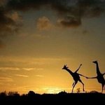 [댓글부탁해] 인기가요 <b>우디</b> 1위ㅋㅋㅋㅋㅋㅋ