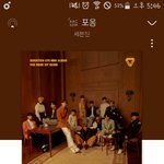 [세븐틴] 와 나 공식 캐럿 아닌데