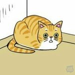 일반고 내신 1.5~1.8사이면 어디까지 가능?