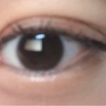 나 <b>고양</b>이상이냐 호랑이상이냐 사진있음