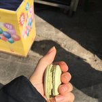 [조언부탁해] 애들아̆̈ 나̆̈ 어장당한거지