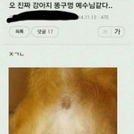 왜 범인 <b>성별</b>이 남자면 안 밝히는거야?