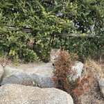 쿠션 추천해줄사람 ㅠㅠㅠ