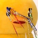 [드루와] 혼자 노는법 알려드림 +현타