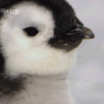 [댓글부탁해] 친구랑 연락하는데....하 인터뷰하는거같음