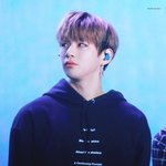 [강다니엘] 조럽콘 강다니엘