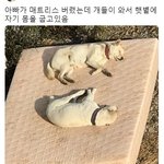 [댓글부탁해] 애들아 들어봐바 친구가